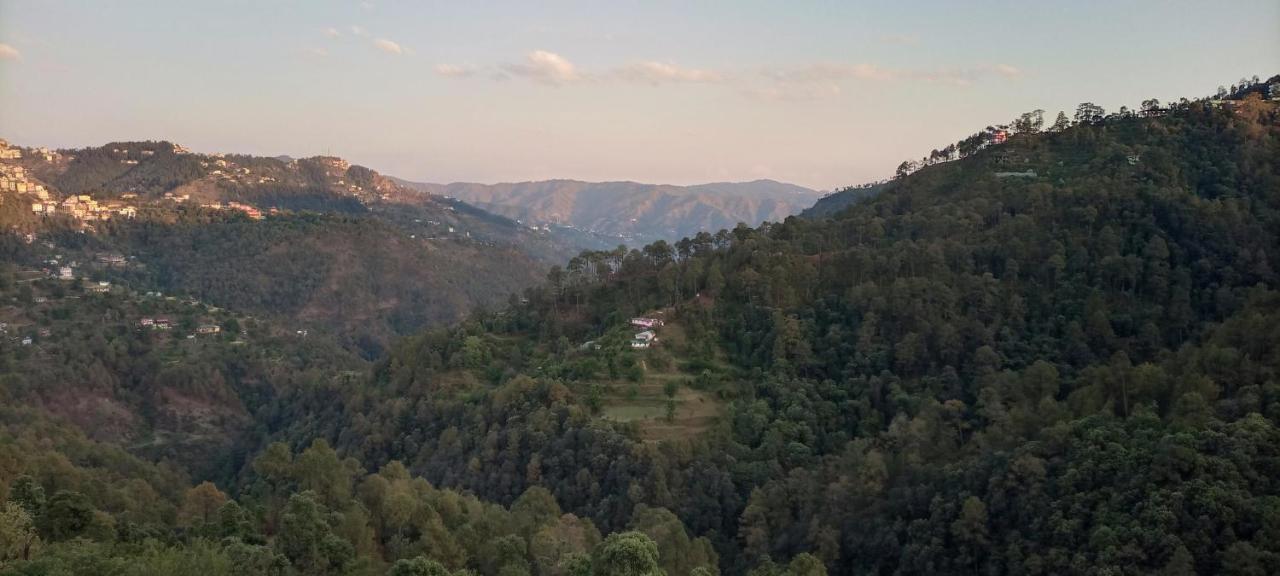 Thakur Homes- Couple And Family Friendly Homestay Shimla Dış mekan fotoğraf