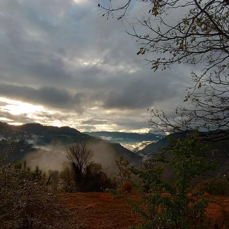 Thakur Homes- Couple And Family Friendly Homestay Shimla Dış mekan fotoğraf
