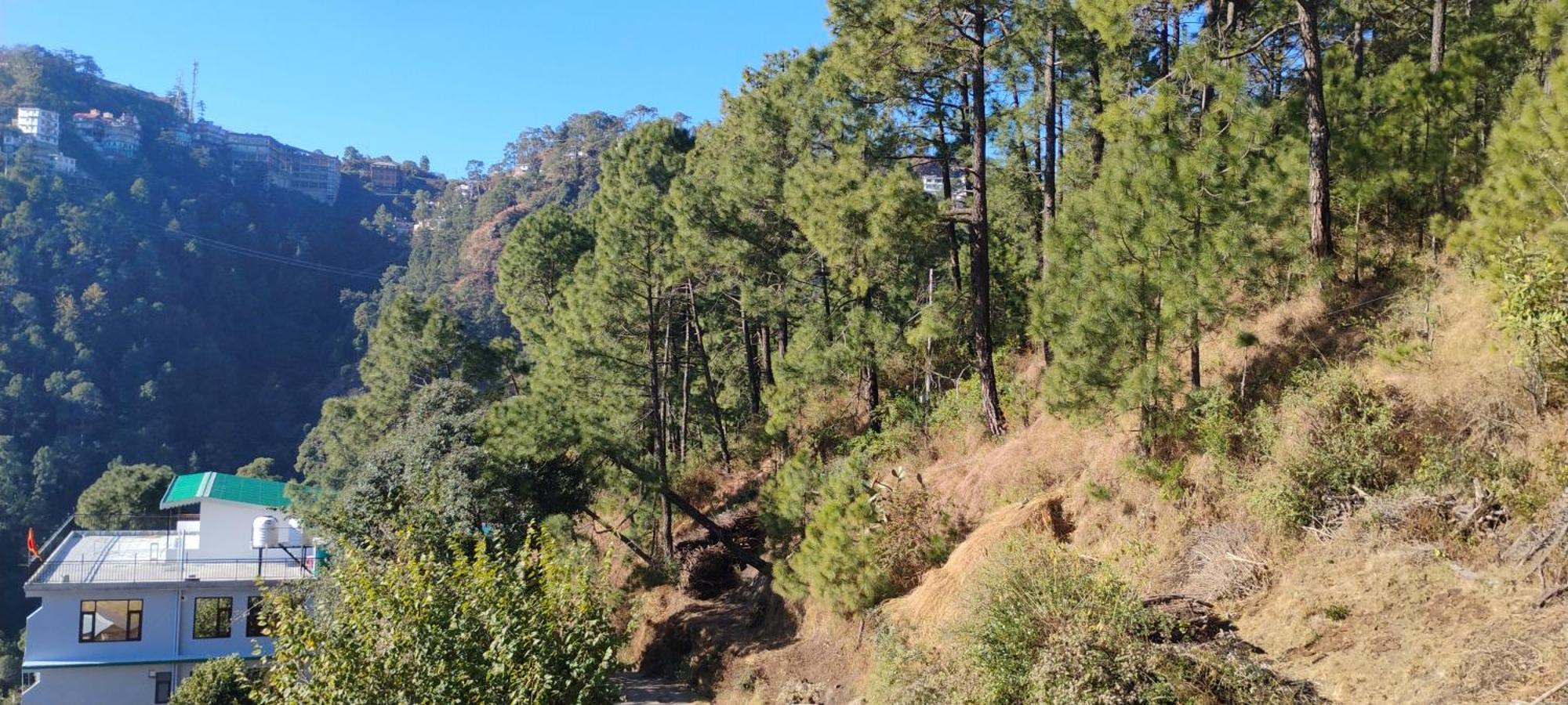 Thakur Homes- Couple And Family Friendly Homestay Shimla Dış mekan fotoğraf