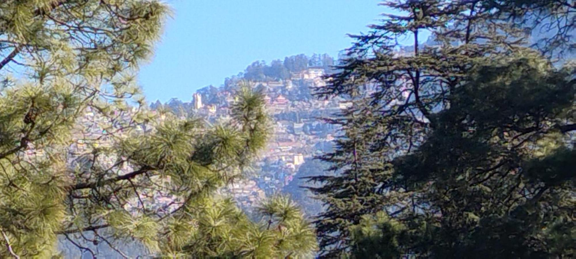 Thakur Homes- Couple And Family Friendly Homestay Shimla Dış mekan fotoğraf