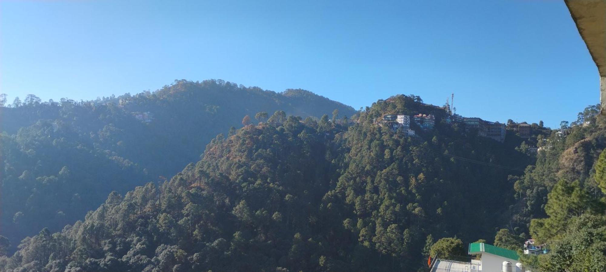 Thakur Homes- Couple And Family Friendly Homestay Shimla Dış mekan fotoğraf