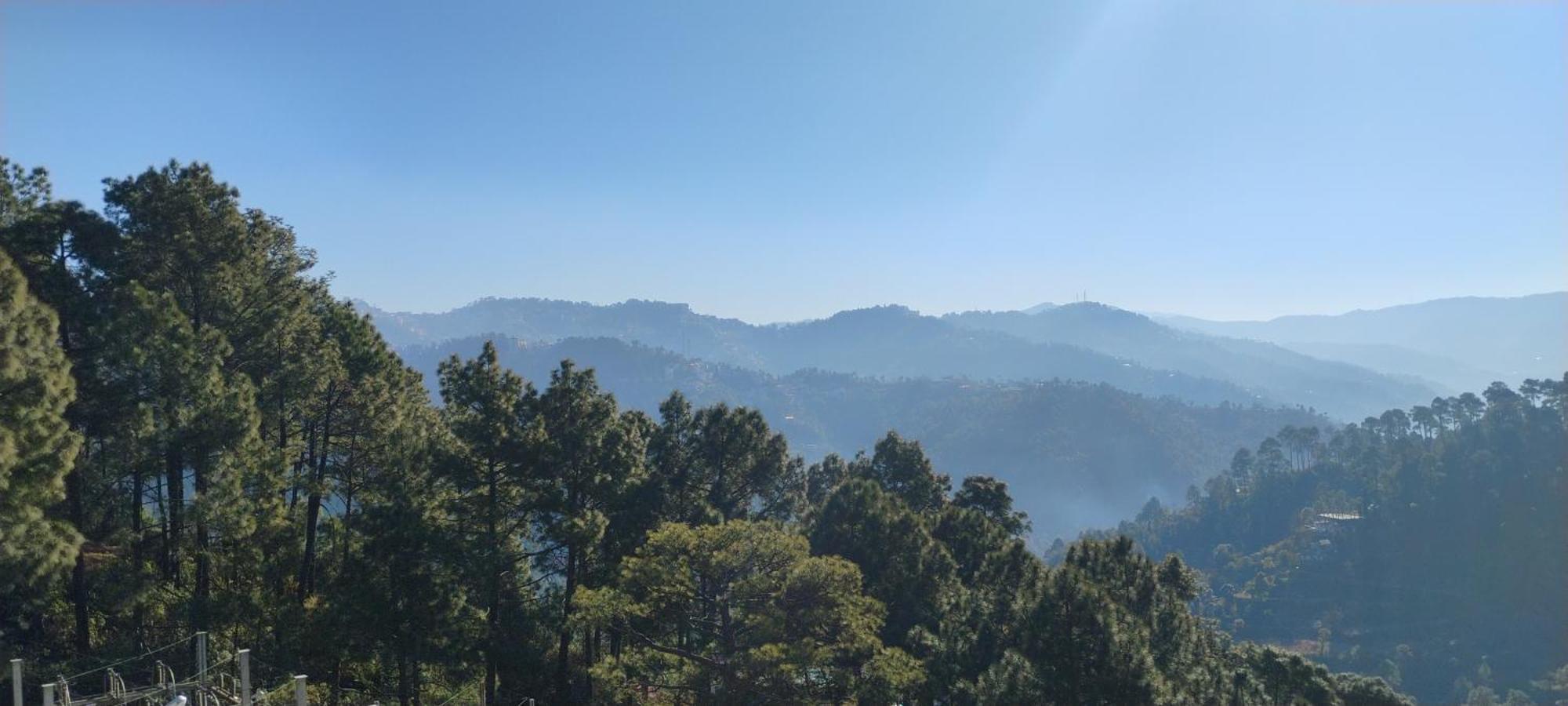 Thakur Homes- Couple And Family Friendly Homestay Shimla Dış mekan fotoğraf