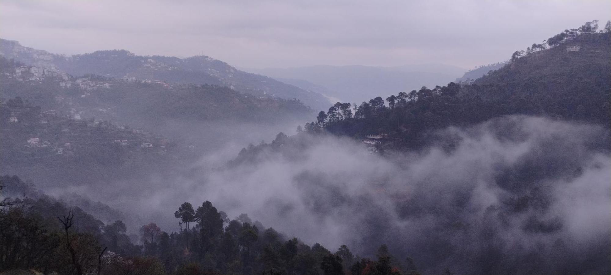 Thakur Homes- Couple And Family Friendly Homestay Shimla Dış mekan fotoğraf